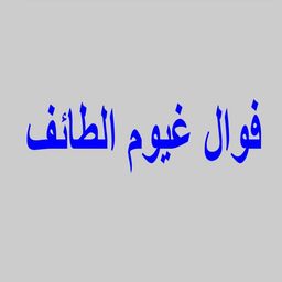 فوال غيوم الطائف logo