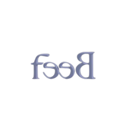 فيب logo