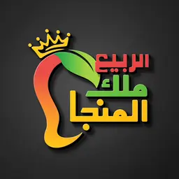 الربيع ملك المنجا logo