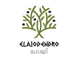 إليودندرو logo