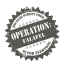 أوبريشن فلافل logo image