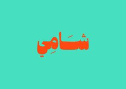 فلافل شامي الاصل logo