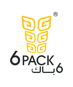 6 باك logo
