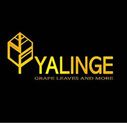 يلنجي logo