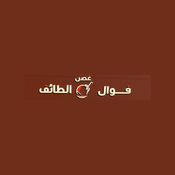 فوال غصن الطايف logo