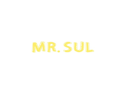 مستر سول logo