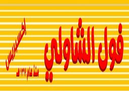 فول الشاولي logo