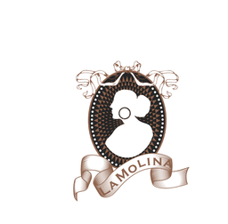 شوكوليتو لامو لينا  logo