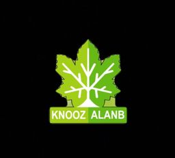 كنوز العنب logo