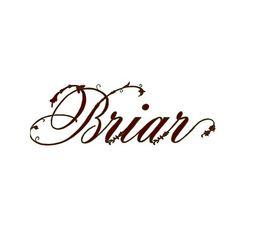 براير كافيه logo