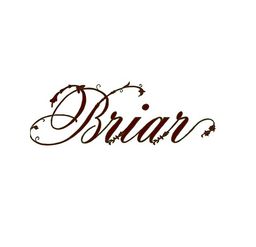 براير كافيه logo