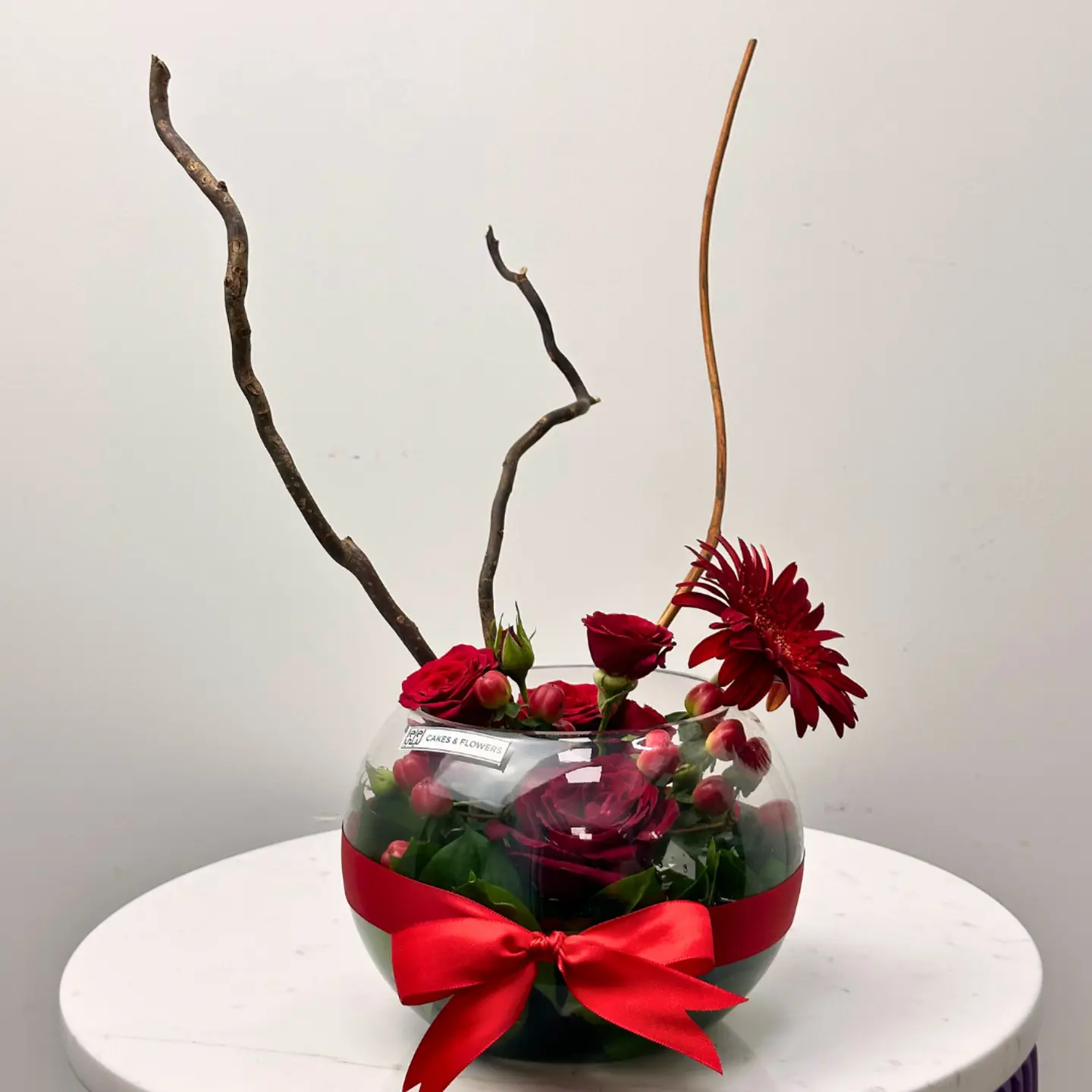 فازة انجليكا