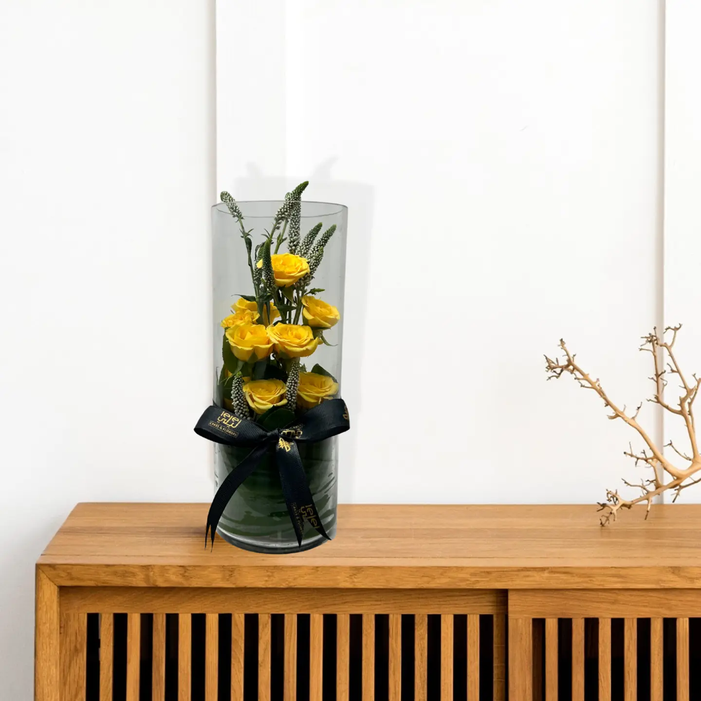 فازة فرونيكا