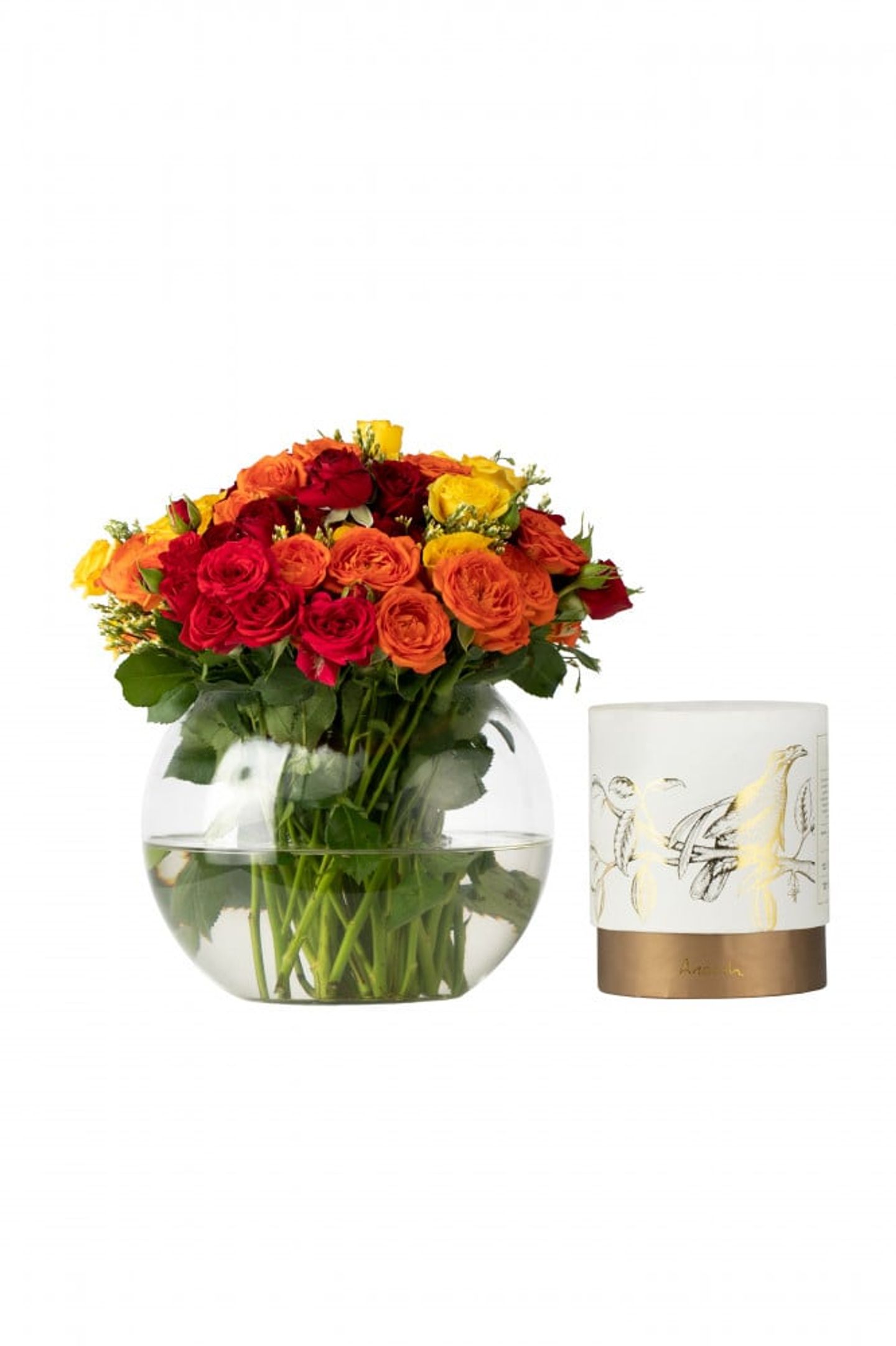 The Renewed Garden With Anoush Chocolate