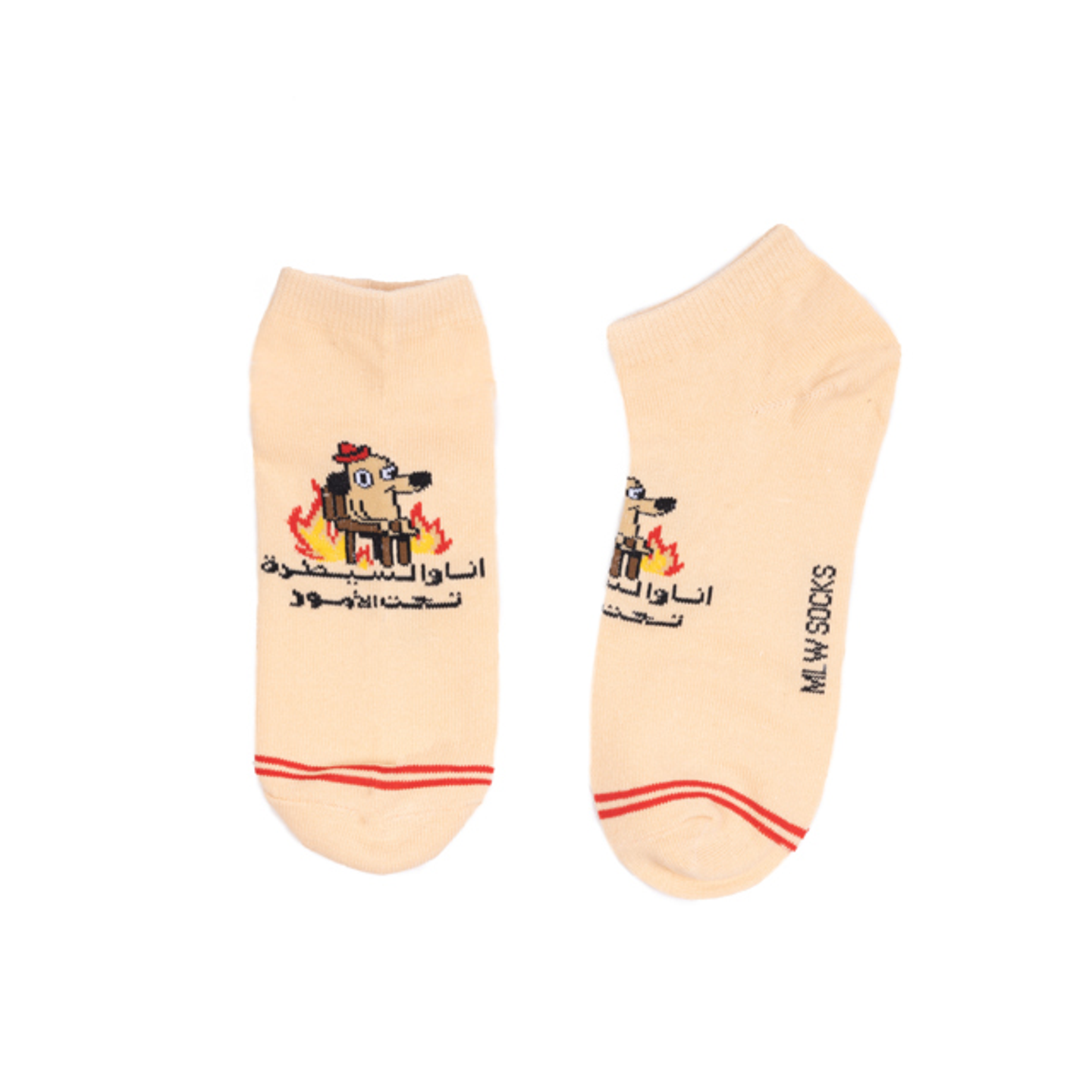 Socks, Me And The Control, Short