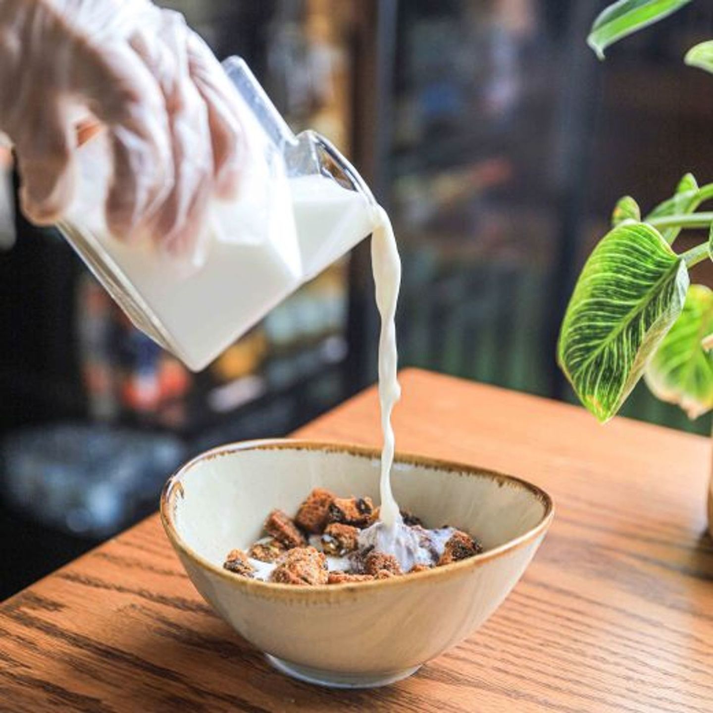 Arwana Cereal