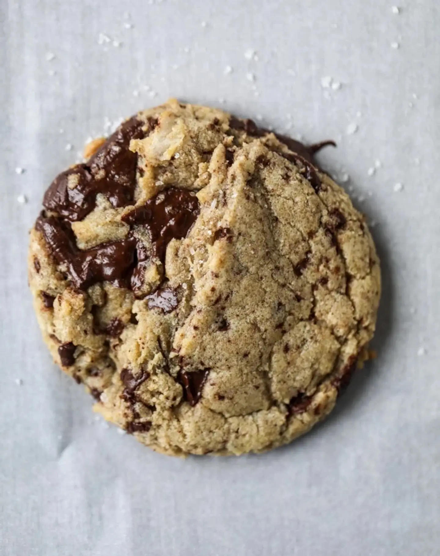 Dark Chocolate Chip Cookie