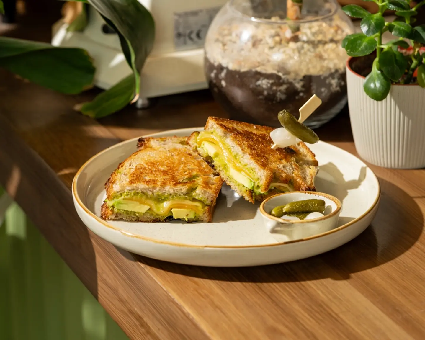 Mexican Grilled Cheese With Avocado And Bacon