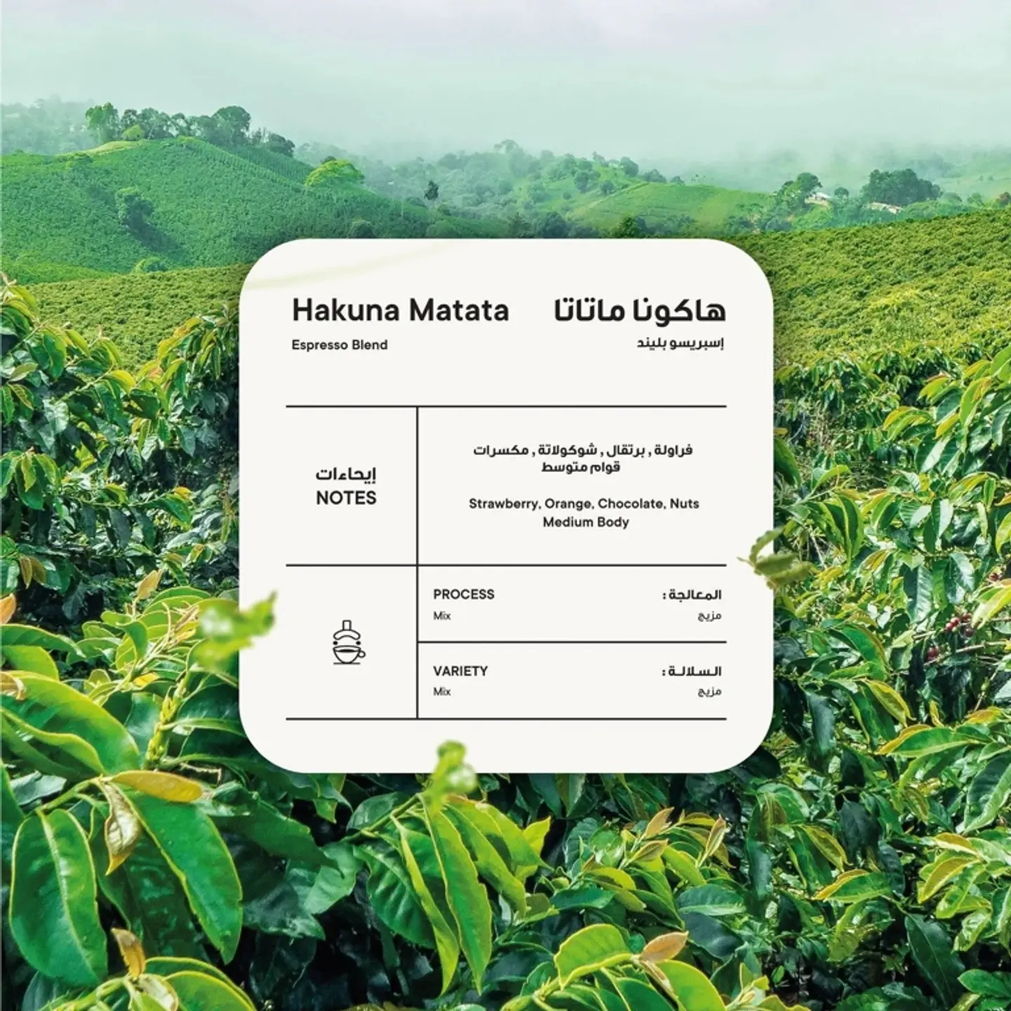 Hakuna Matata Coffee Beans 250g