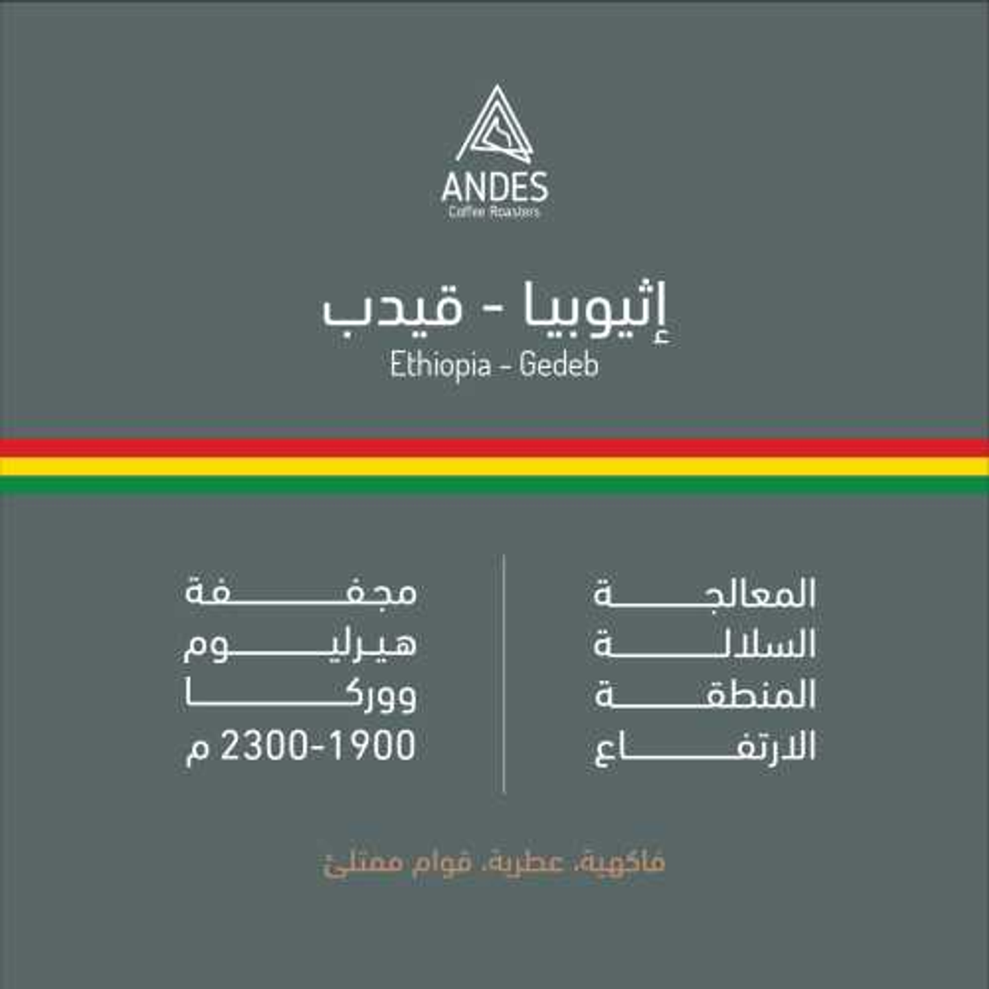 اثيوبيا قيدب 1