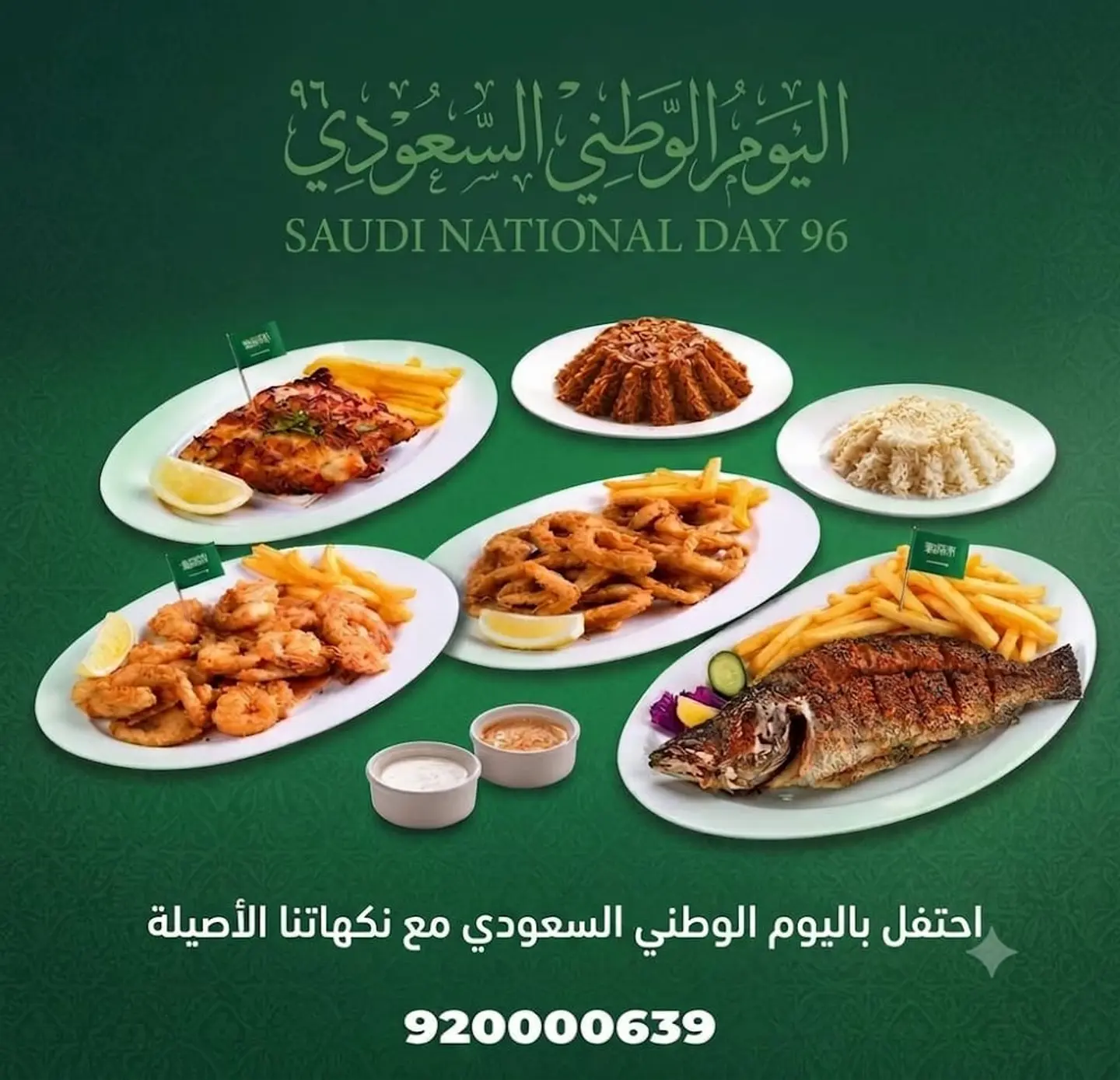 عرض اليوم الوطنى 96