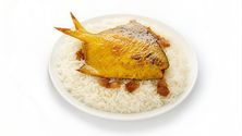 مطبق زبيدي