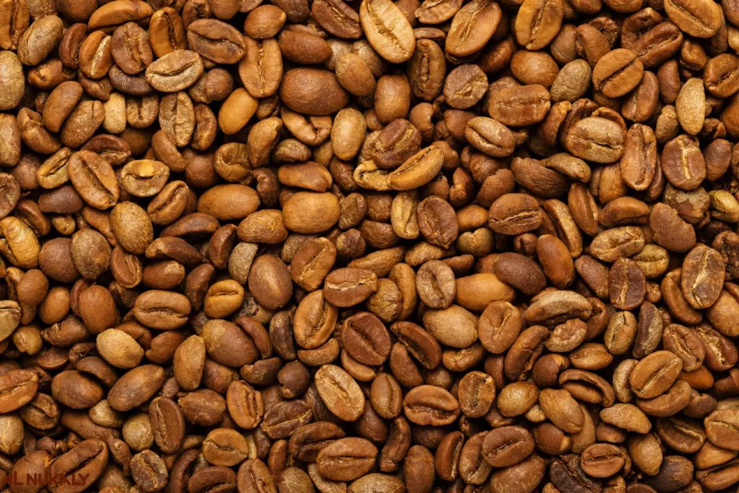 بن هرري حبوب نخب اول غامق