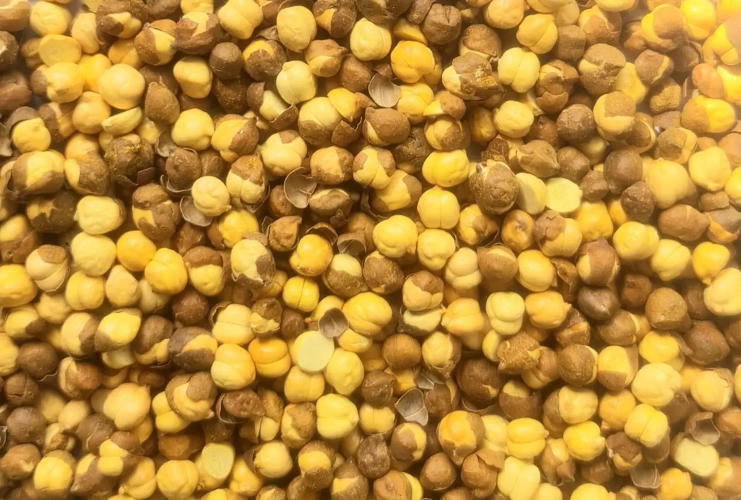 حمص هندي محمص