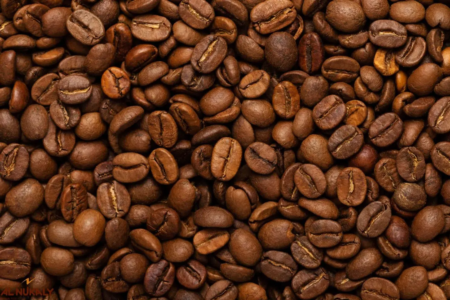 بن برازيلي حبوب نخب اول وسط