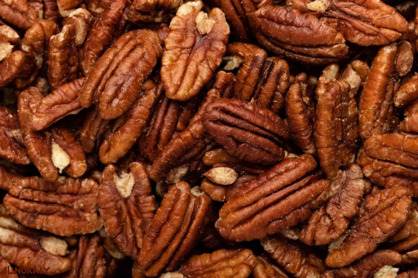 جوز بيكان ني