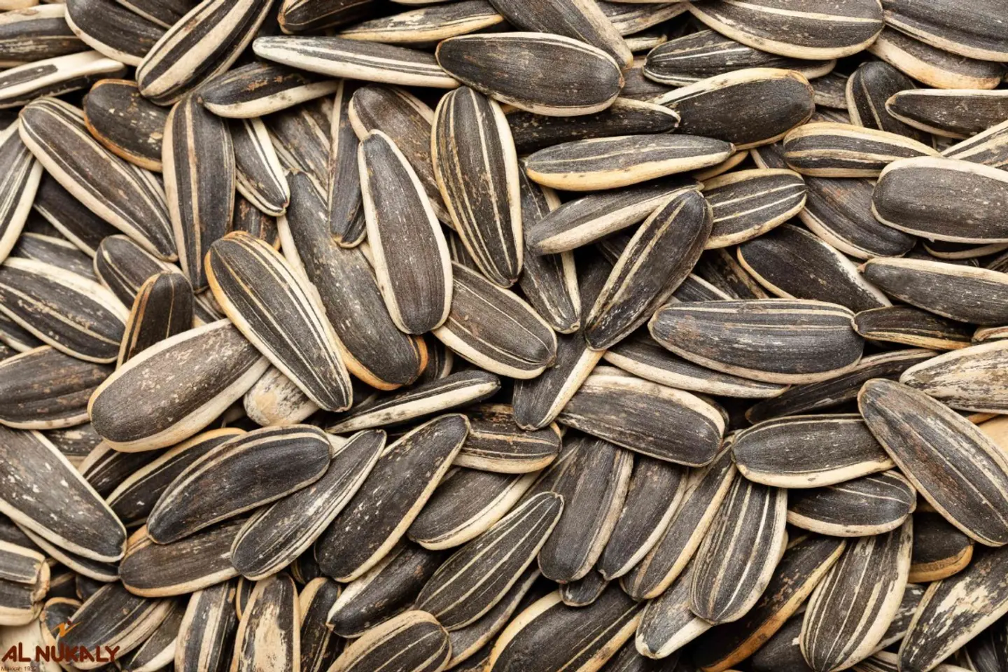 حب دوار الشمس محمص مالح