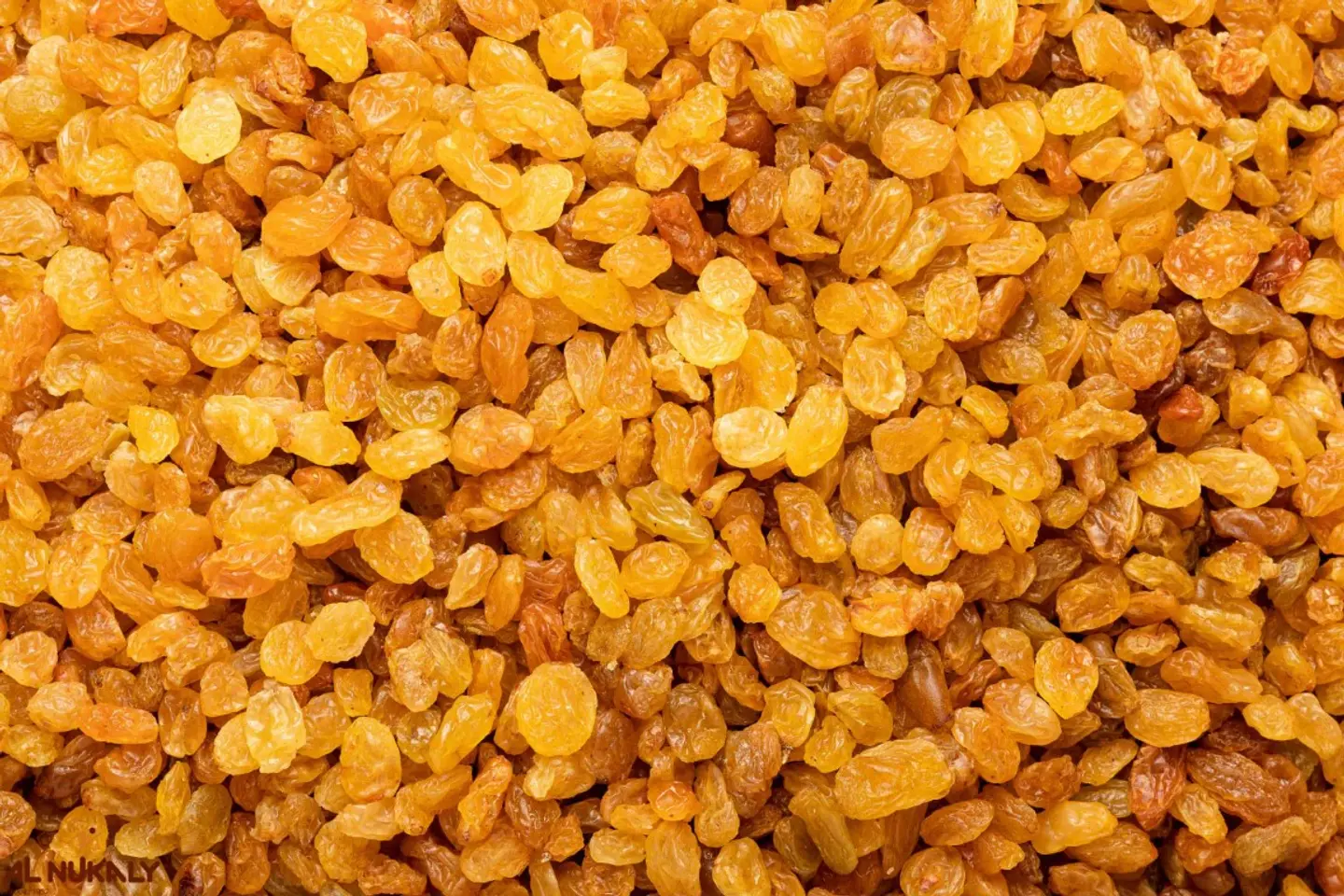 زبيب اصفر حبه صغيره