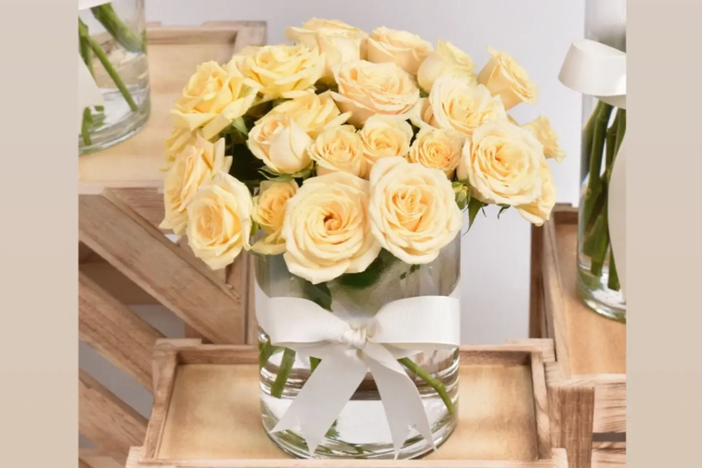 مزهرية الاشراقة الابدية