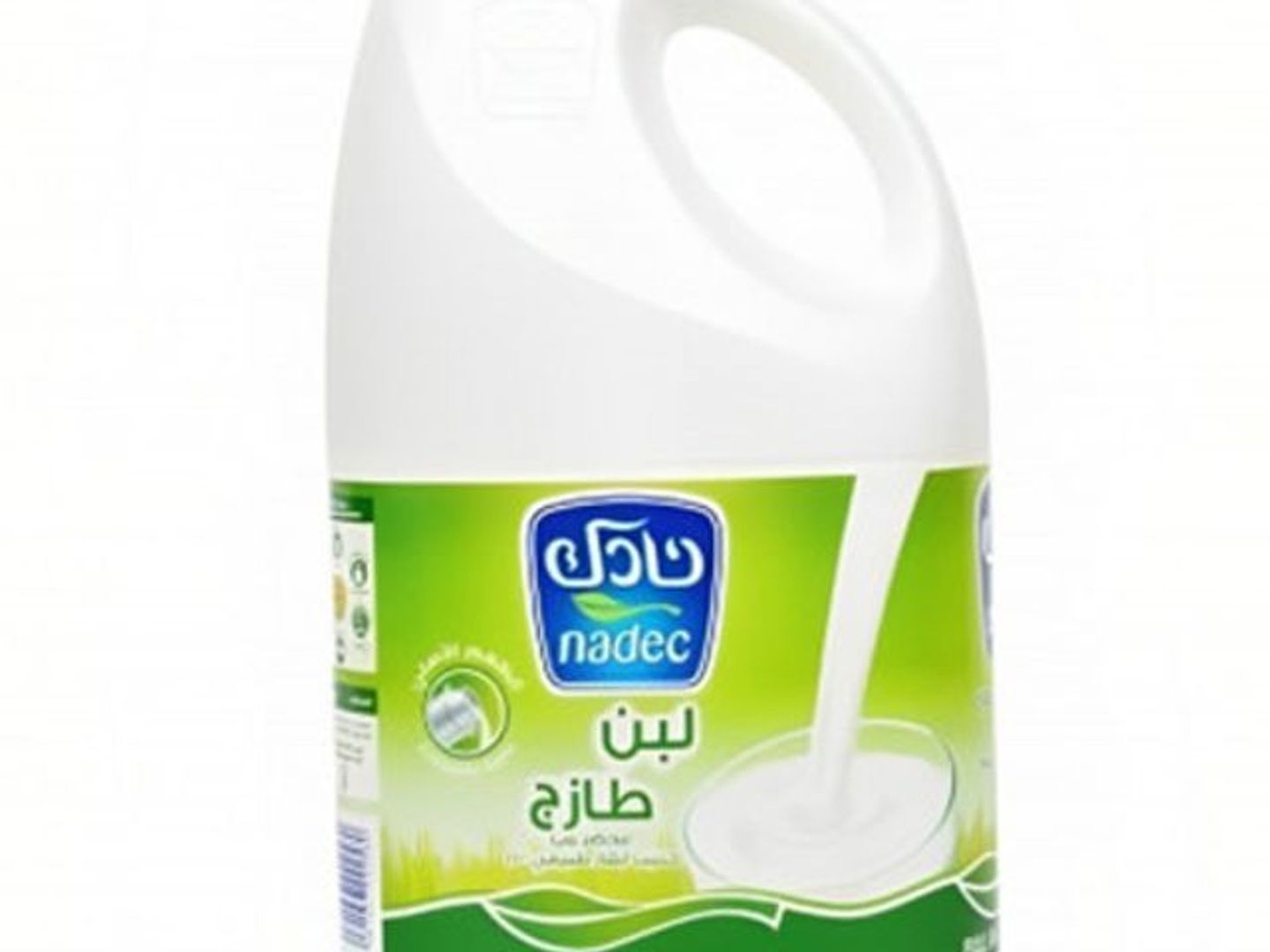 لبن عادي كبير