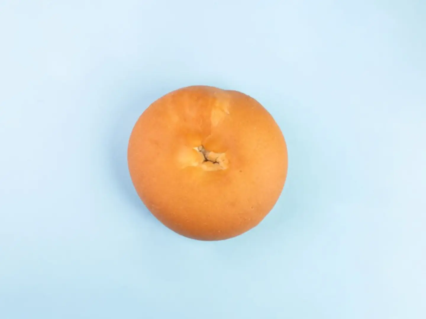 Bagel Plain