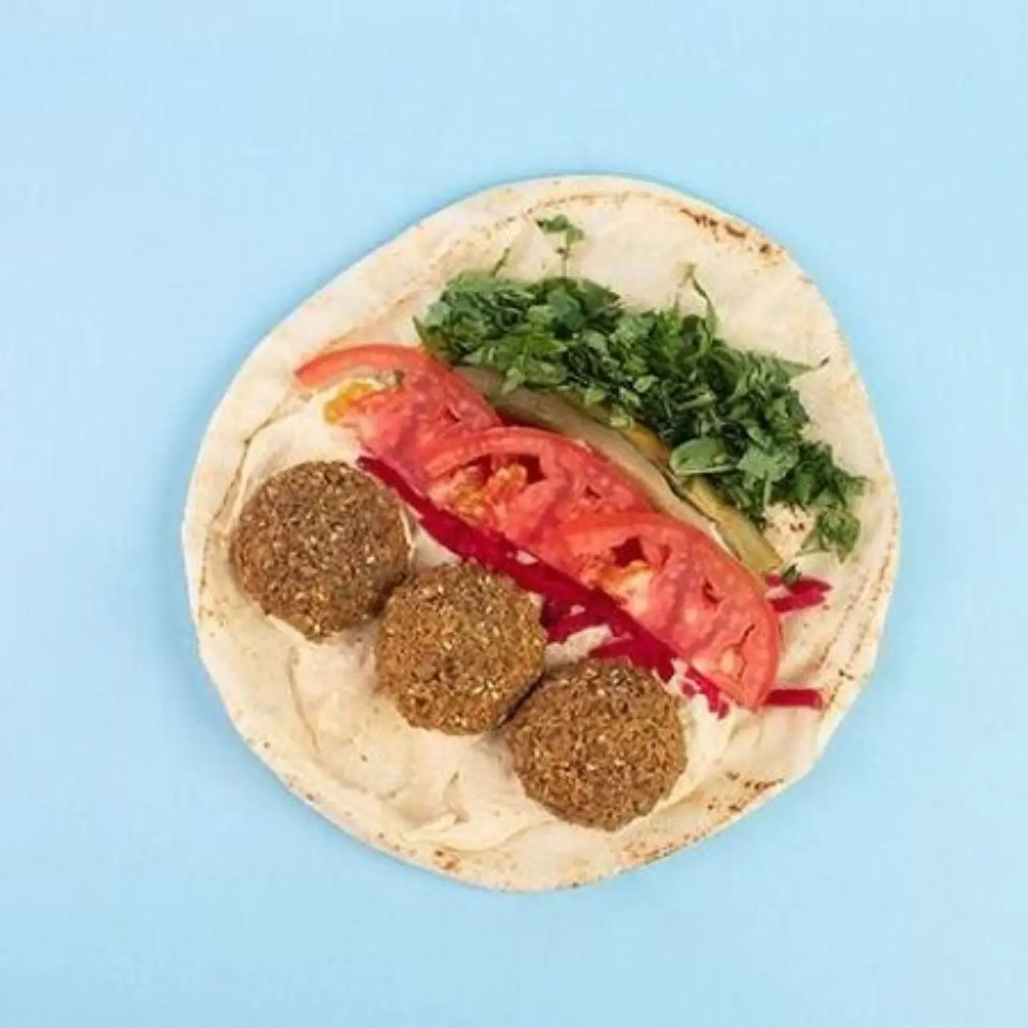 Falafel Regular With Hummus