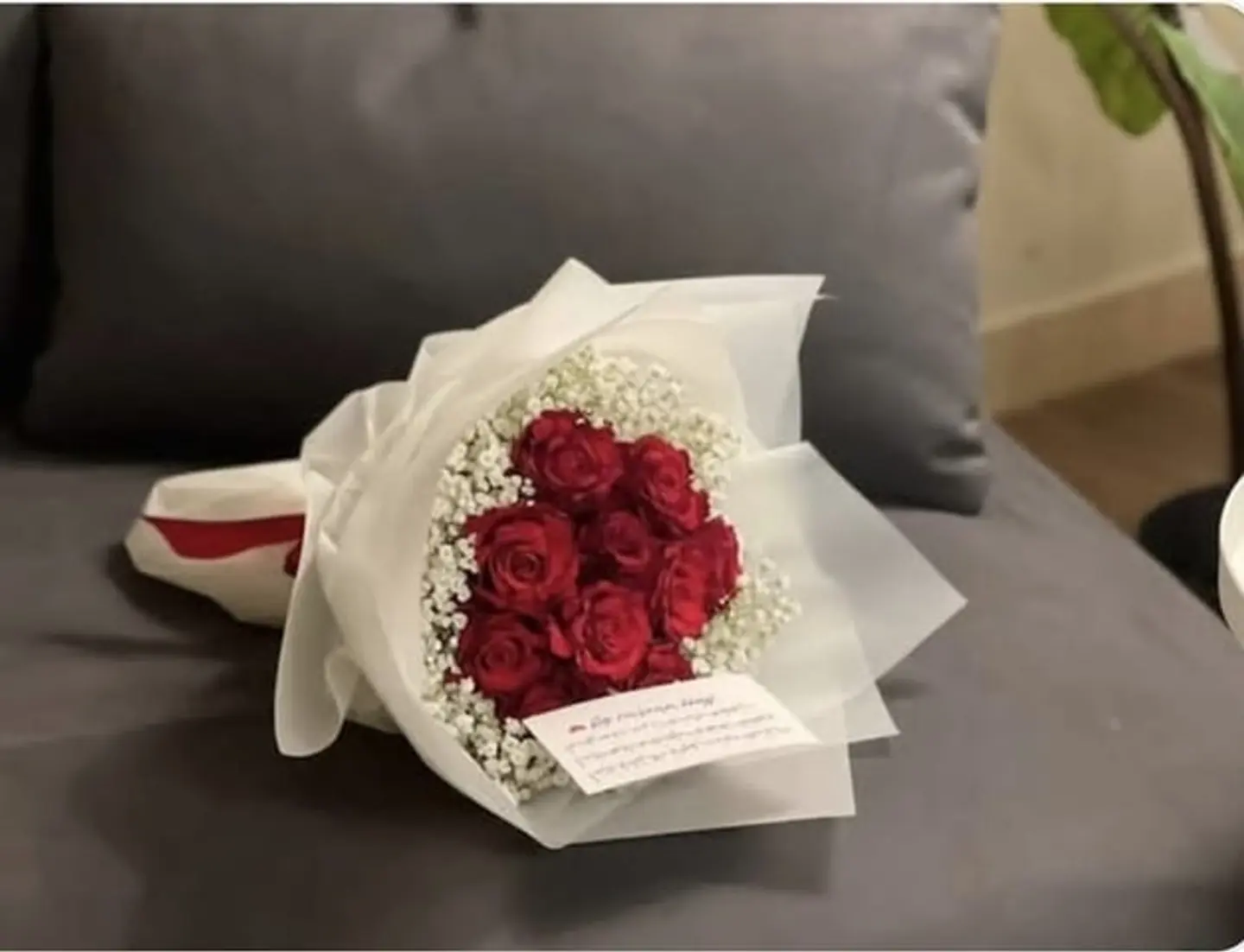 استرانتيا بوكيت