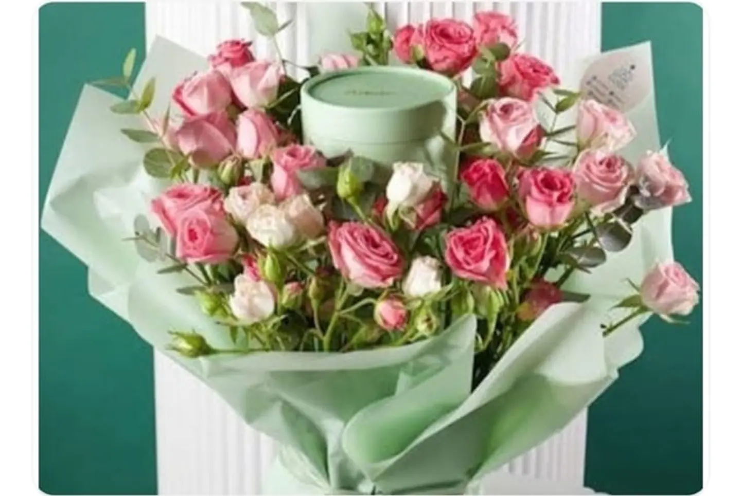 بيبي روز شوكليت انوش