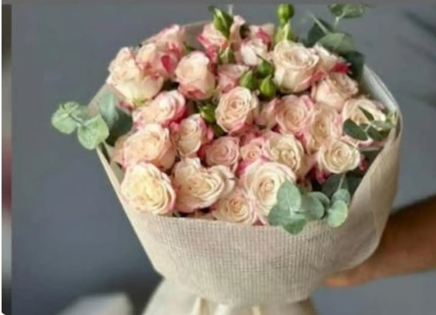 Baby Rose Beauty
