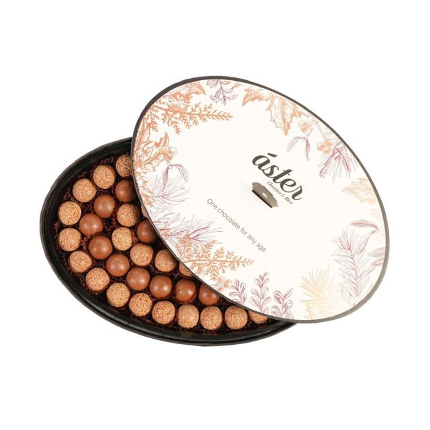 Aster Hazelnut