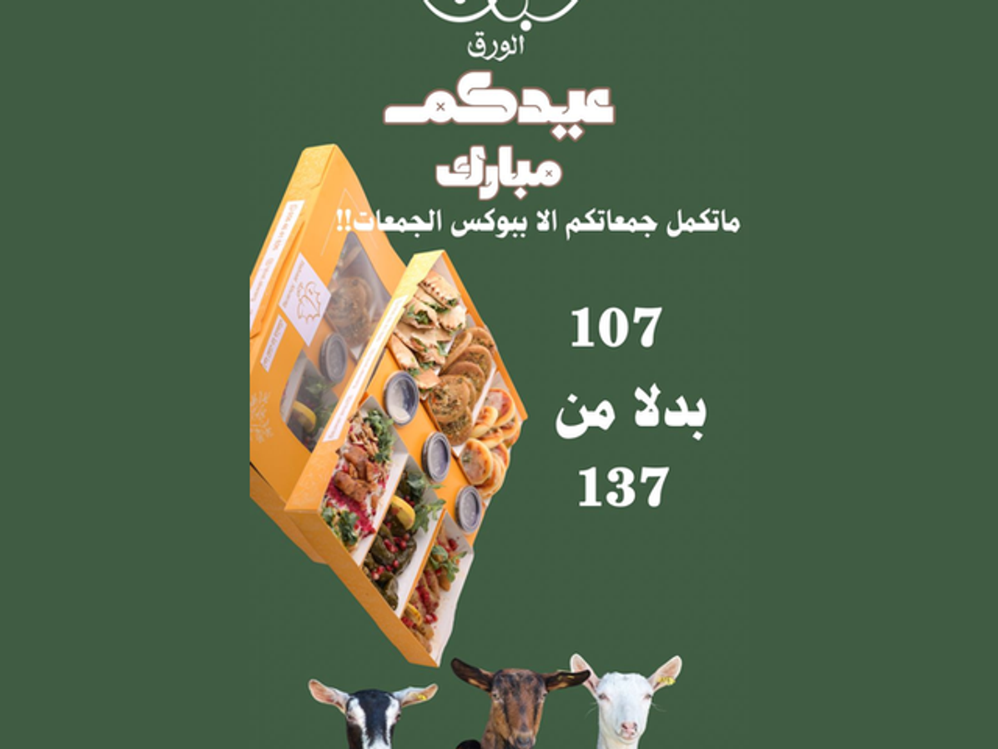 بوكس الجمعات