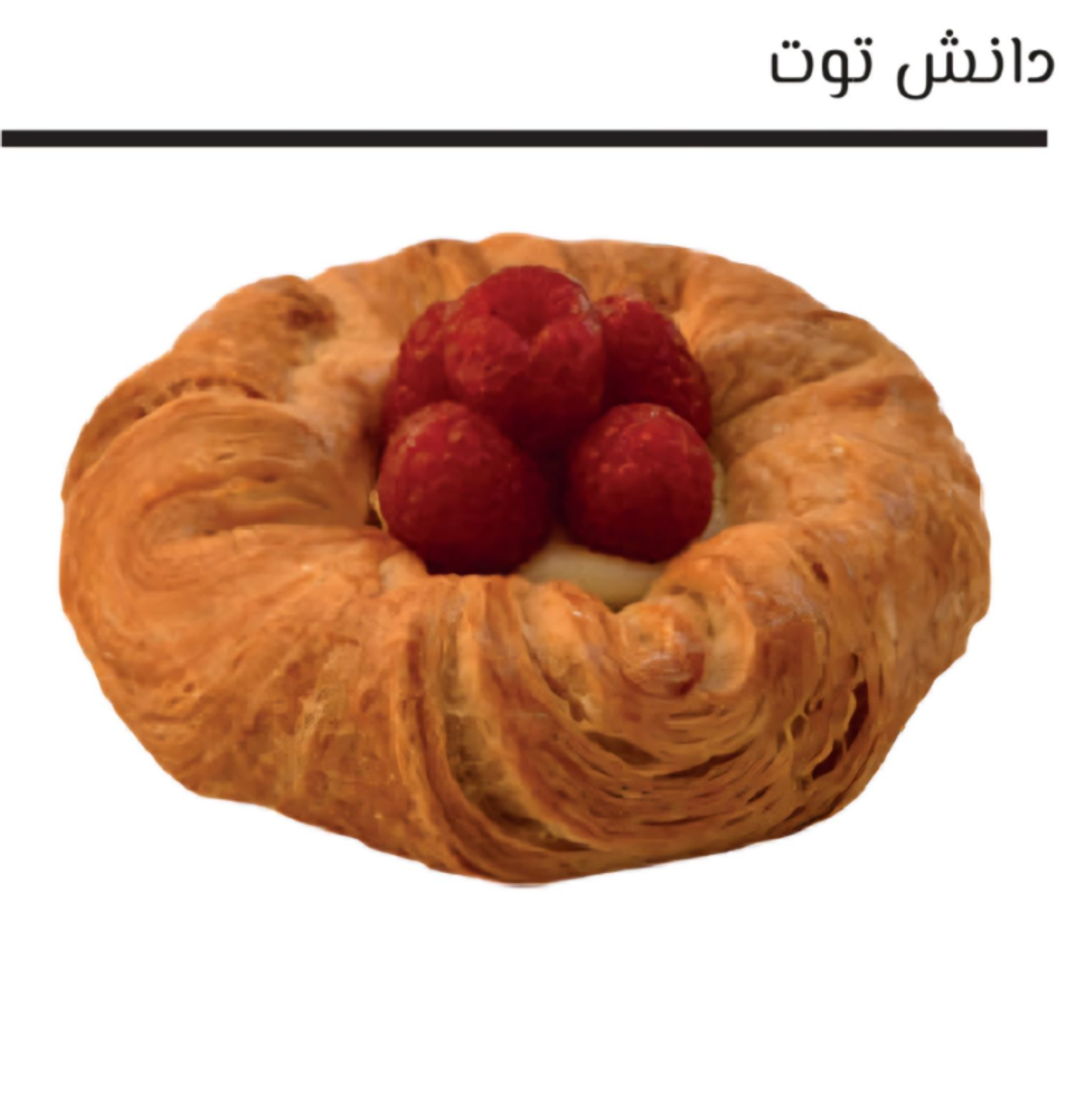 دانش توت