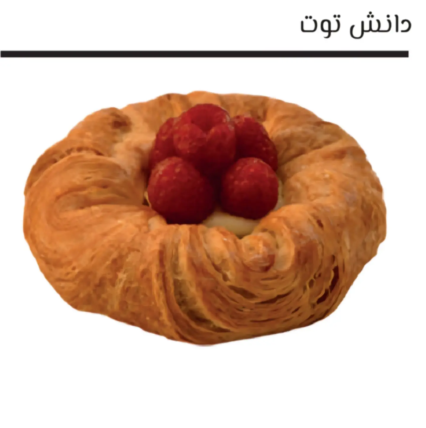 دانش توت