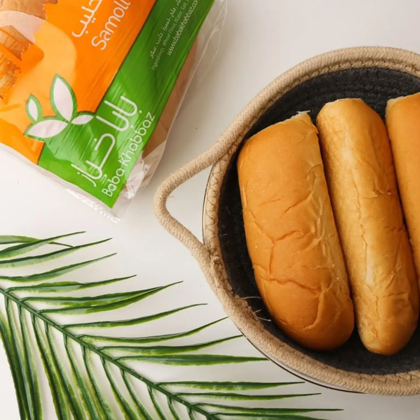 صامولي عادي