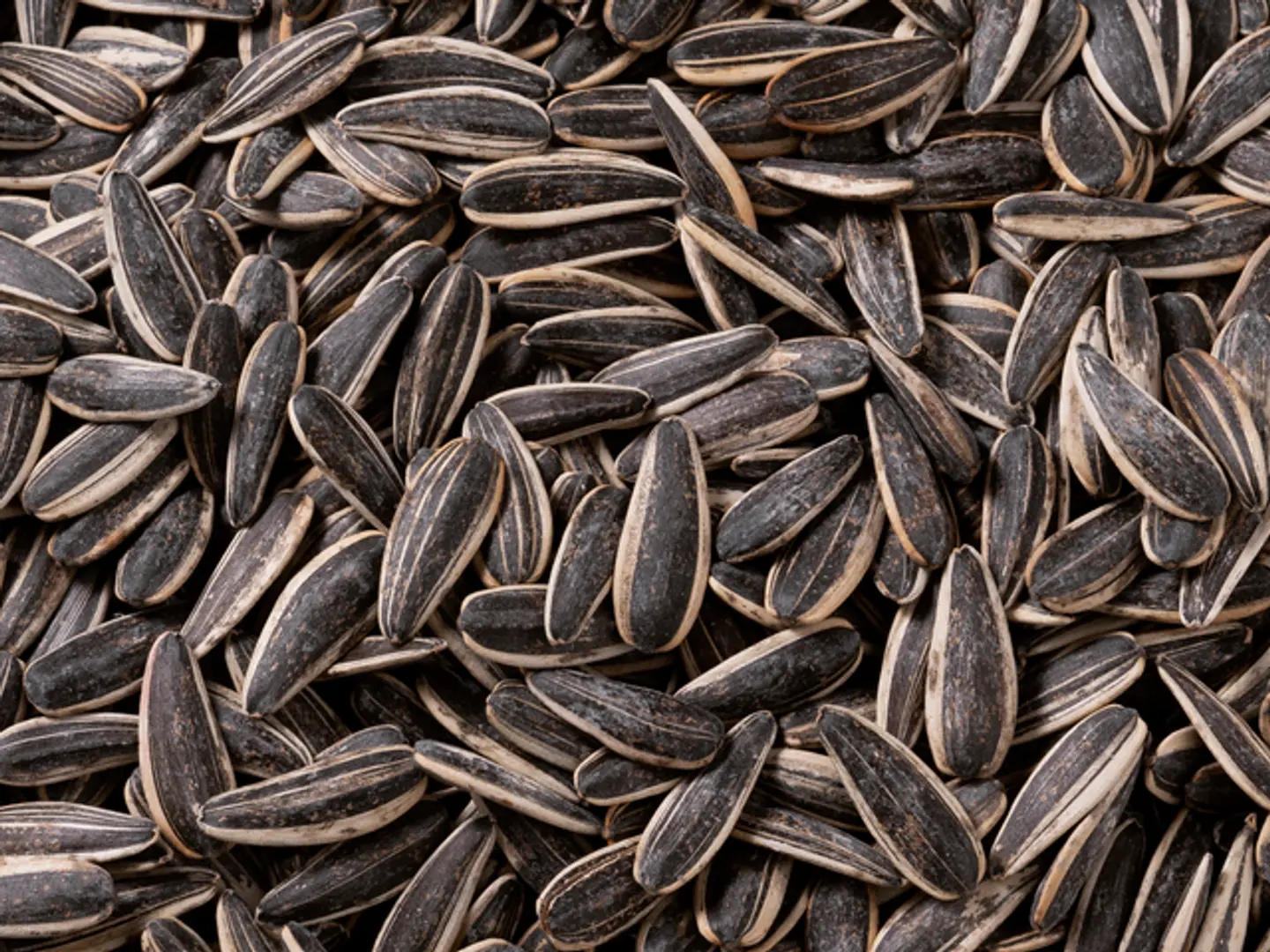 Unsalty Sunflower Seeds