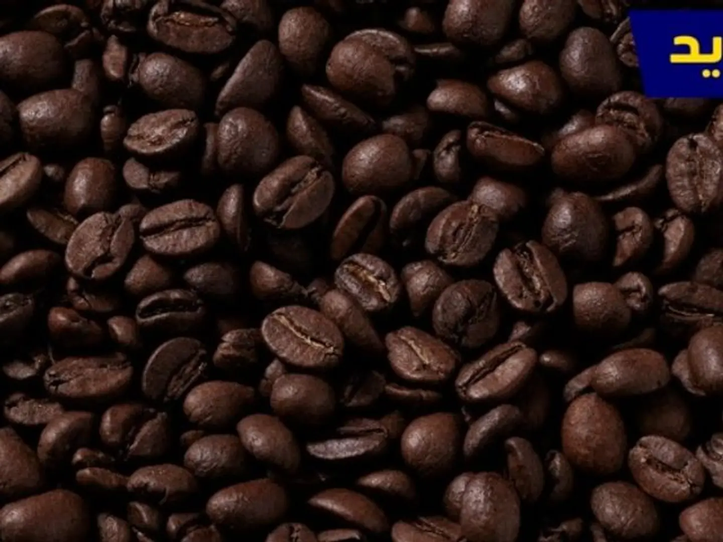 Yirgacheffe Coffee