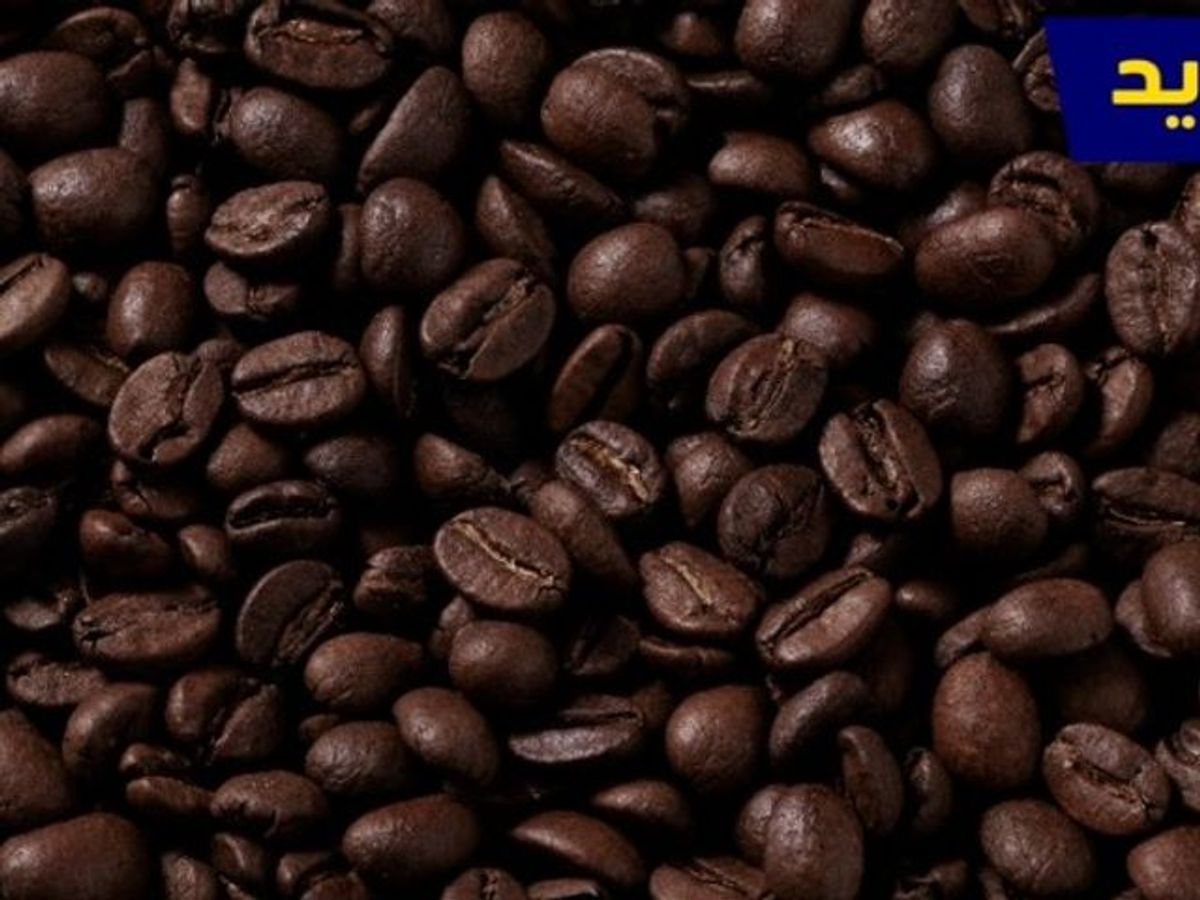 إطلب اونلاين من مطاعم باجة | هنقرستيشن