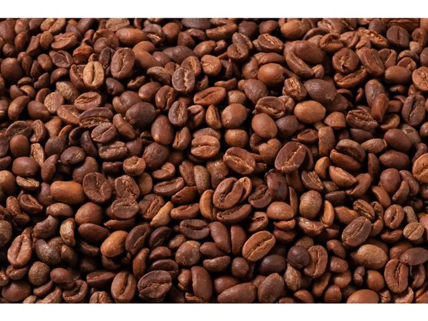 Logmaty Coffee