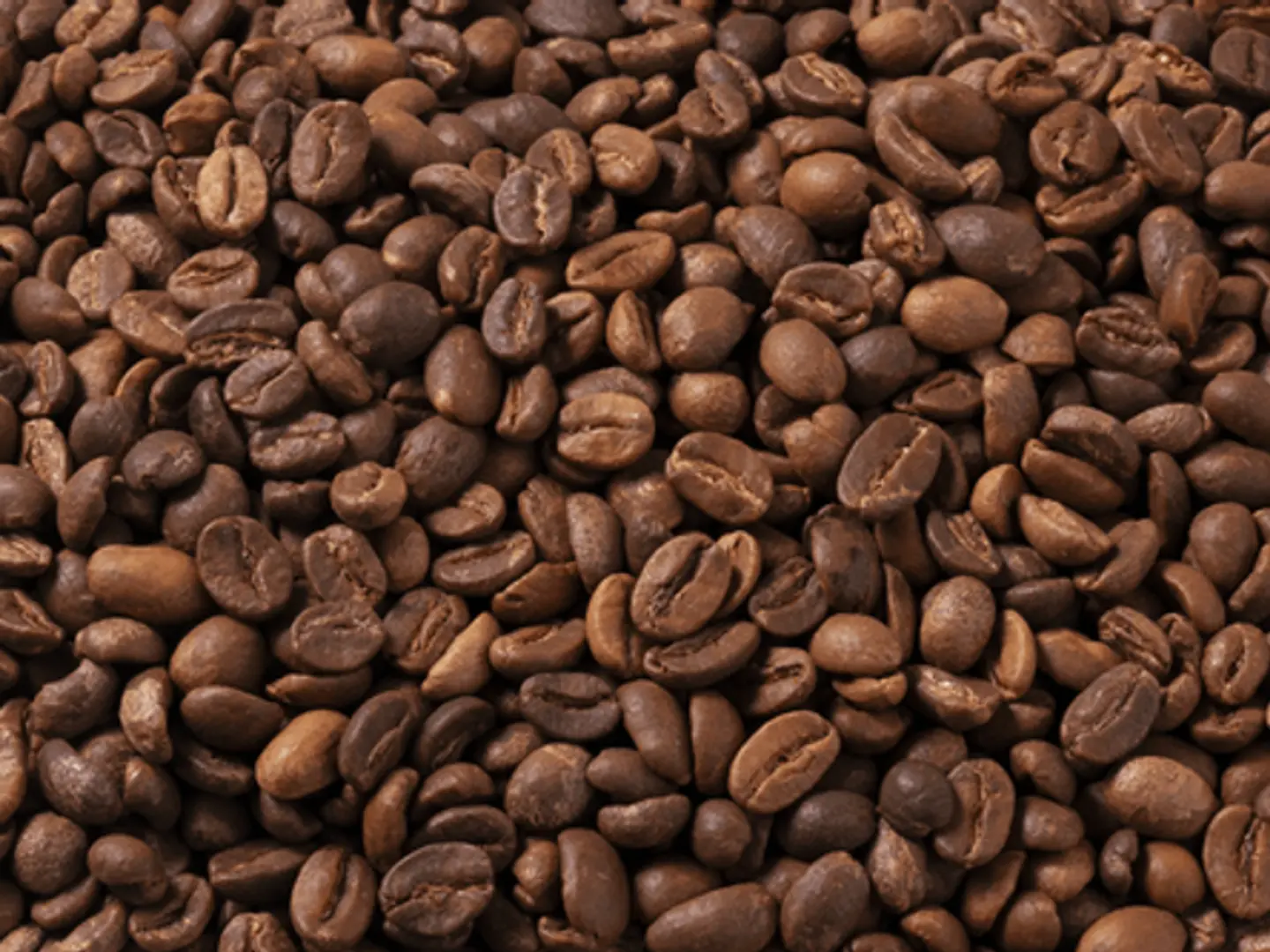 Saudi Coffee Harari Special Medium Loose