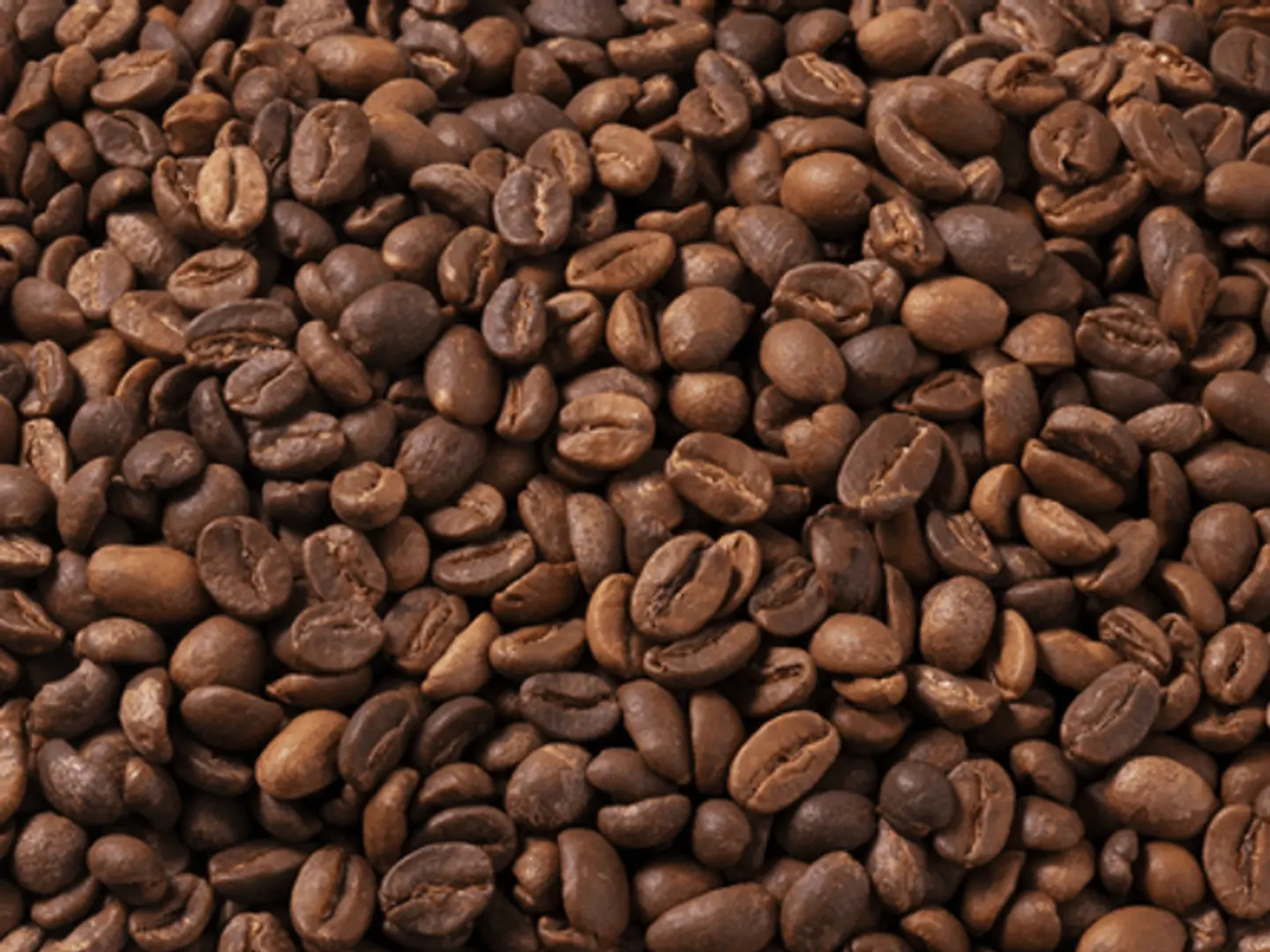 Saudi Coffee Harari Medium G1 Class Loose
